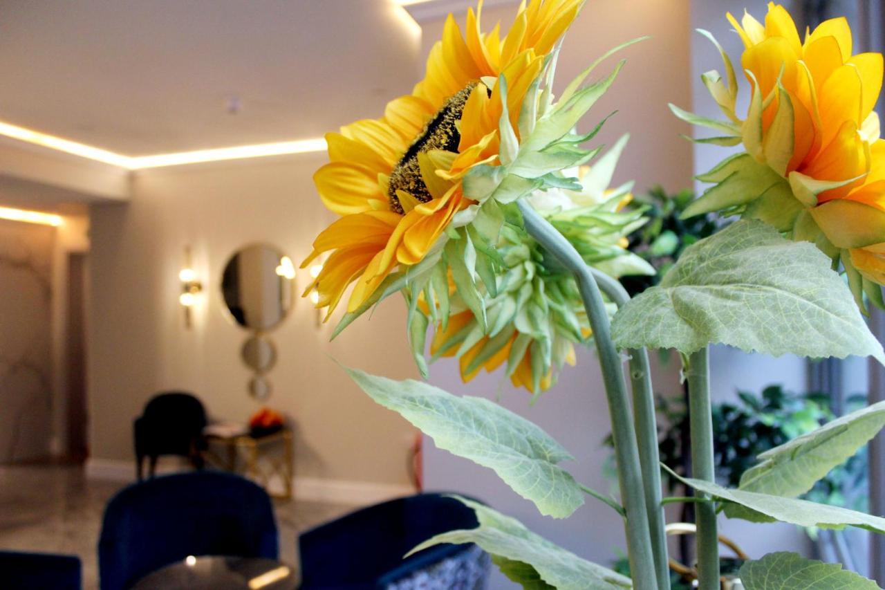 Nox Waterloo Hotel de apartamente 4*